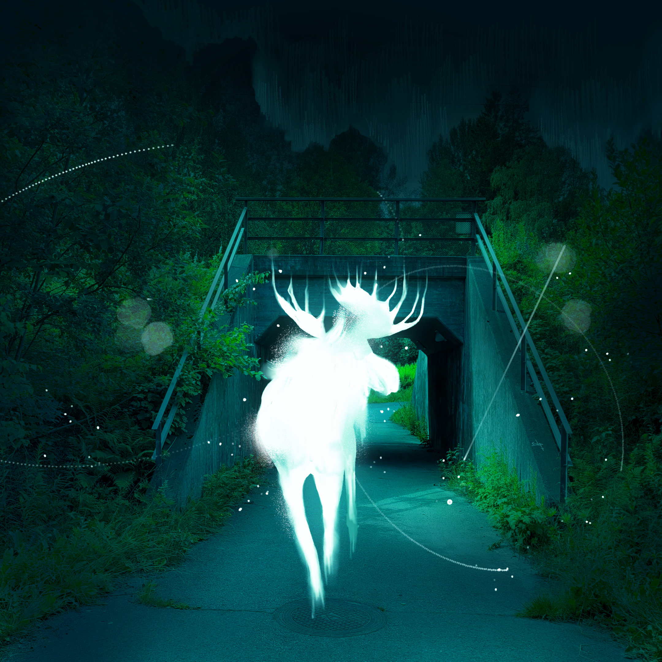 Vit älg vid en cykeltunnel.